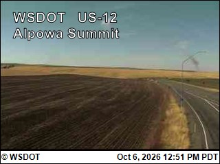 US 12 at MP 413.3: Alpowa Summit