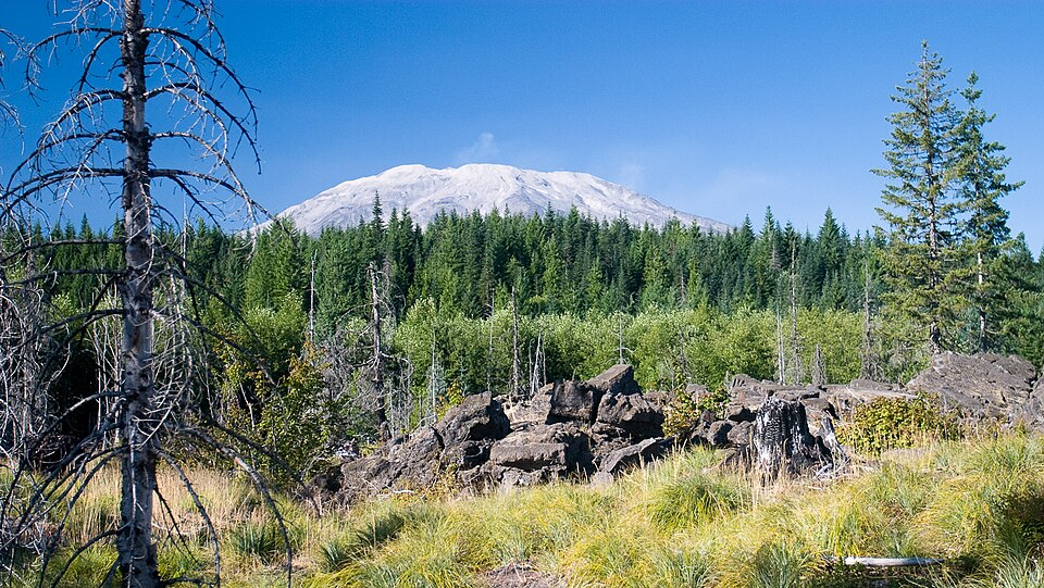 Mt St Helens from Ape Cave