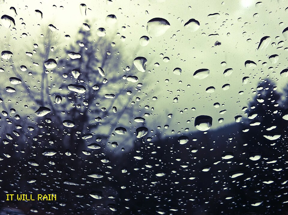 Raindrops
