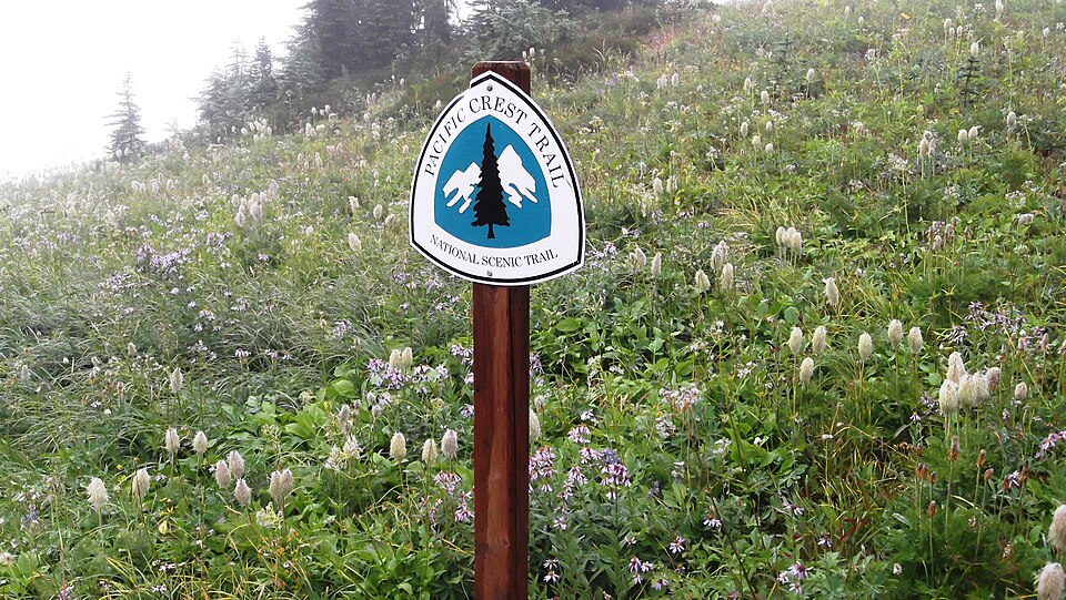 Naches Peak Loop Trail about 1700 meters (5600 feet elevation) William O. Dougla