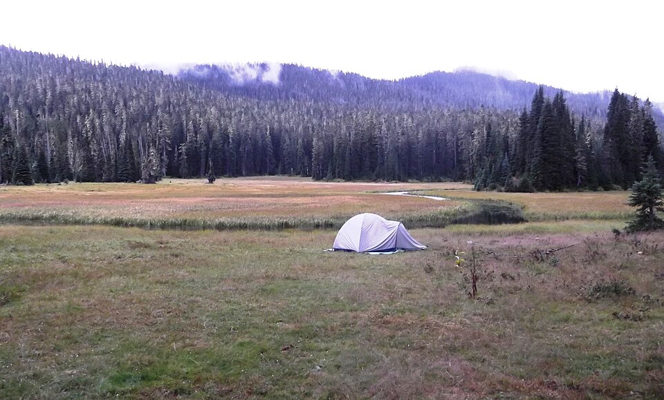 This was a pleasant place to camp, we heard bugling of elk all night. Unfortunat