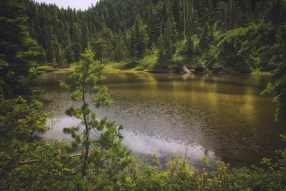 Summit Lake Trail 1177, Washington state