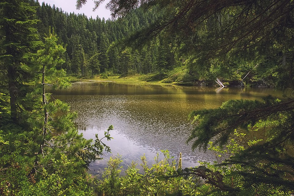 Summit Lake Trail 1177, Washington state