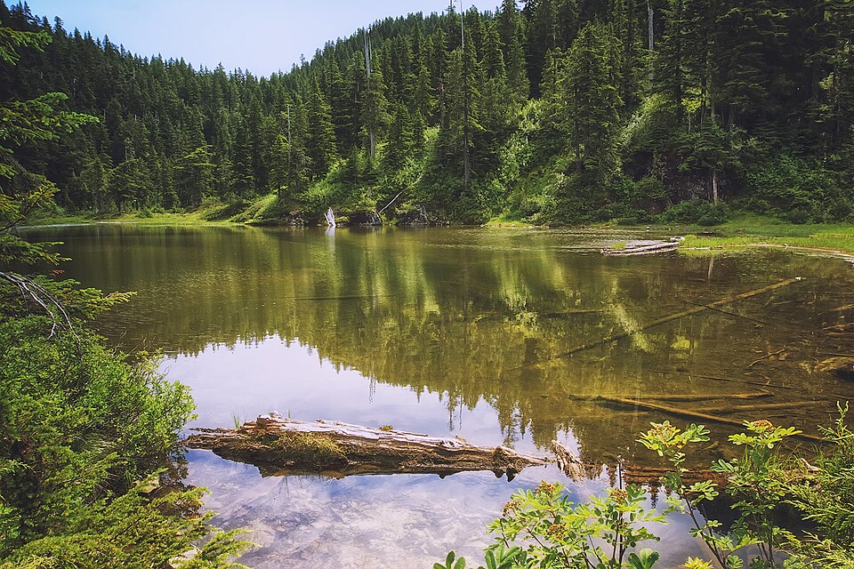 Summit Lake Trail 1177, Washington state