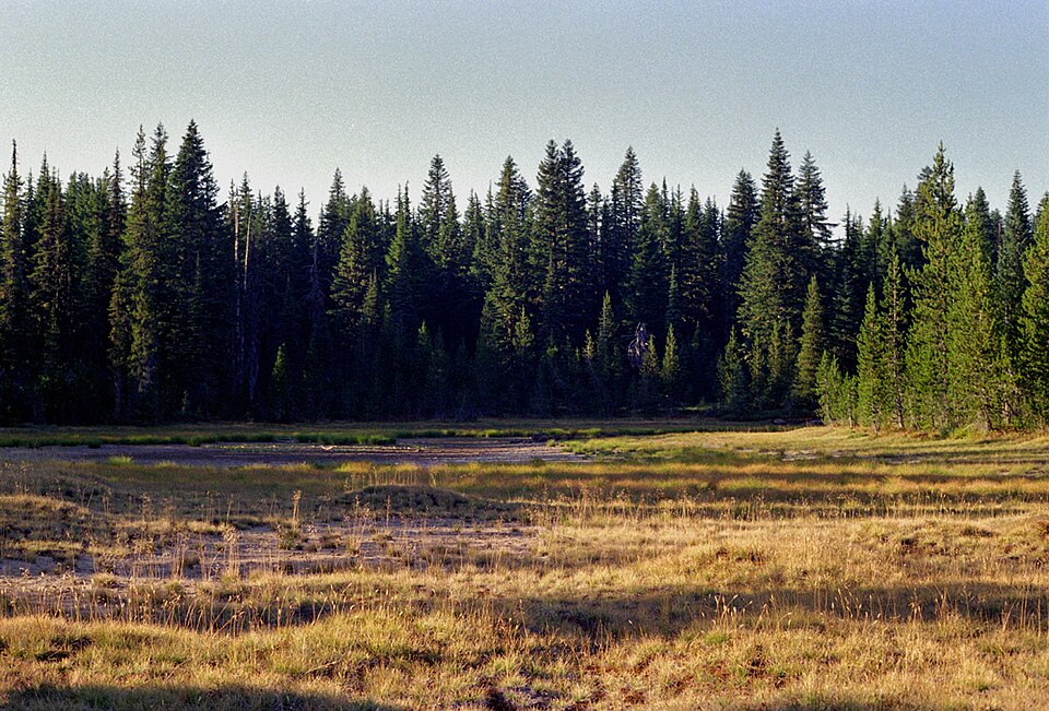 This meadow at the base of Red Mountain in Indian Heaven is known as the Indian 