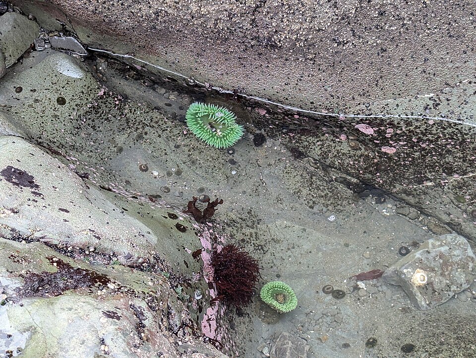 Olympic National Park
